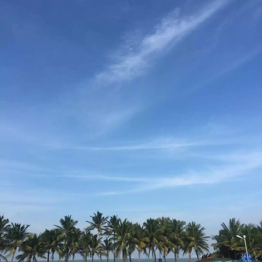 海南先锋物流苏维德