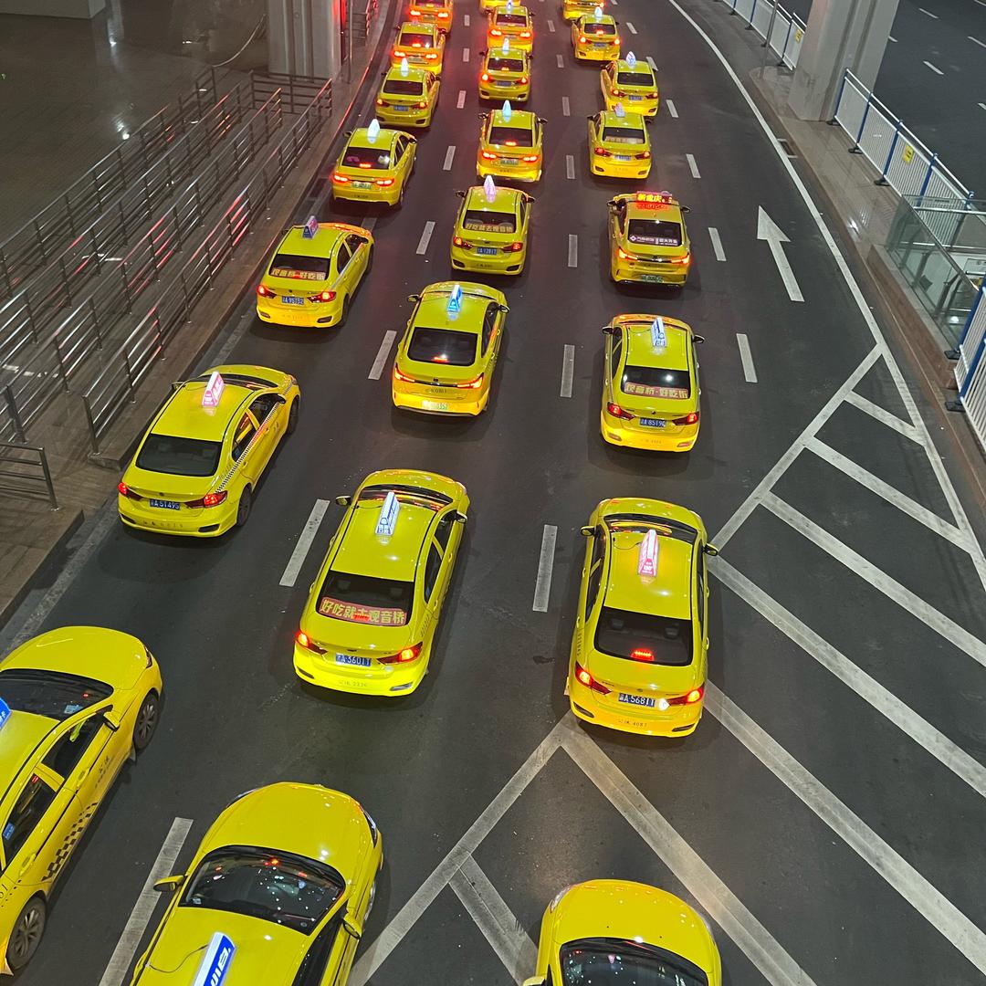 老登别跑