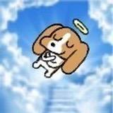 库洛米先吃