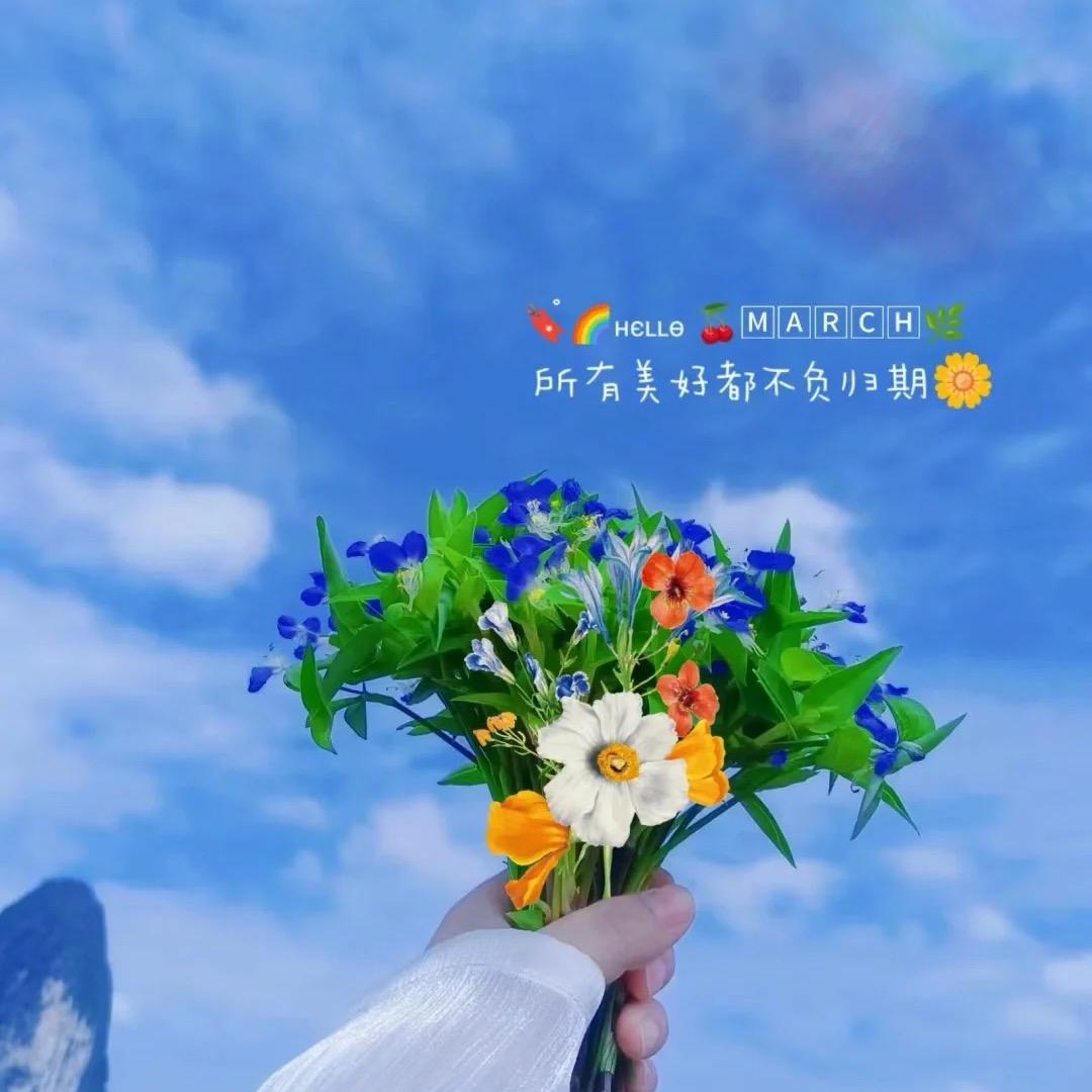 ๑ò不写散文诗ó๑