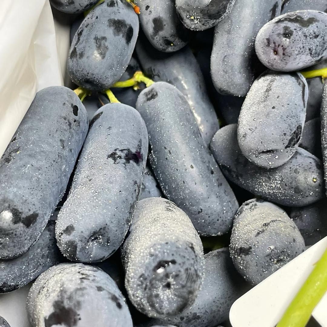 秋月梨🍐