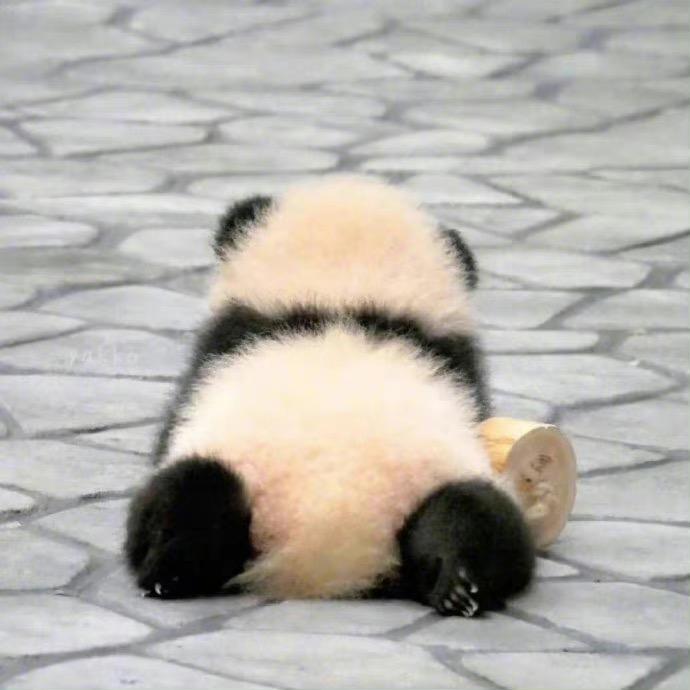 哎呀妈呀天呐怎么办