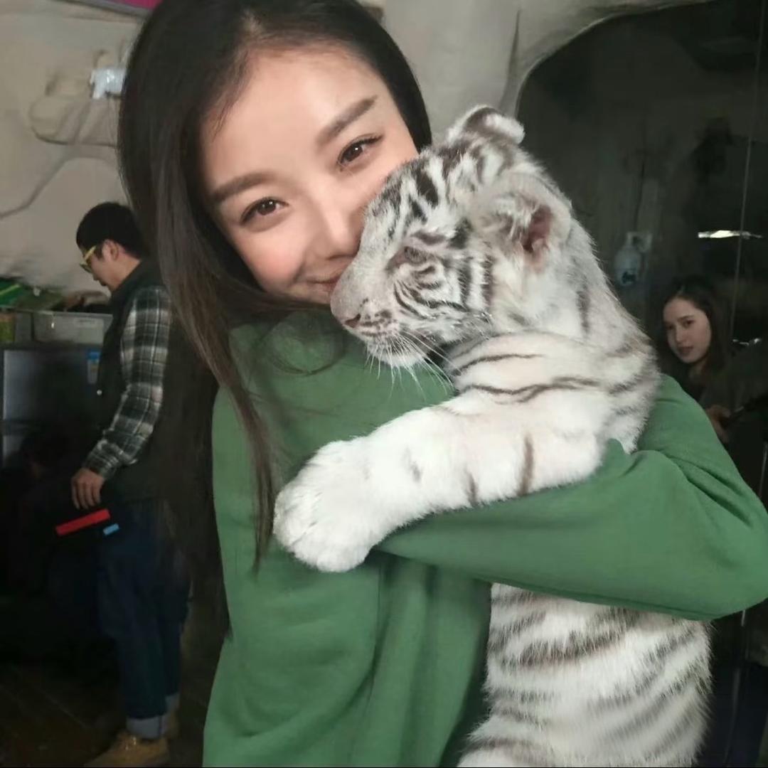 是晋琳