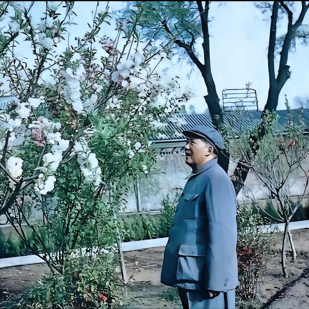 人民万岁🇨🇳