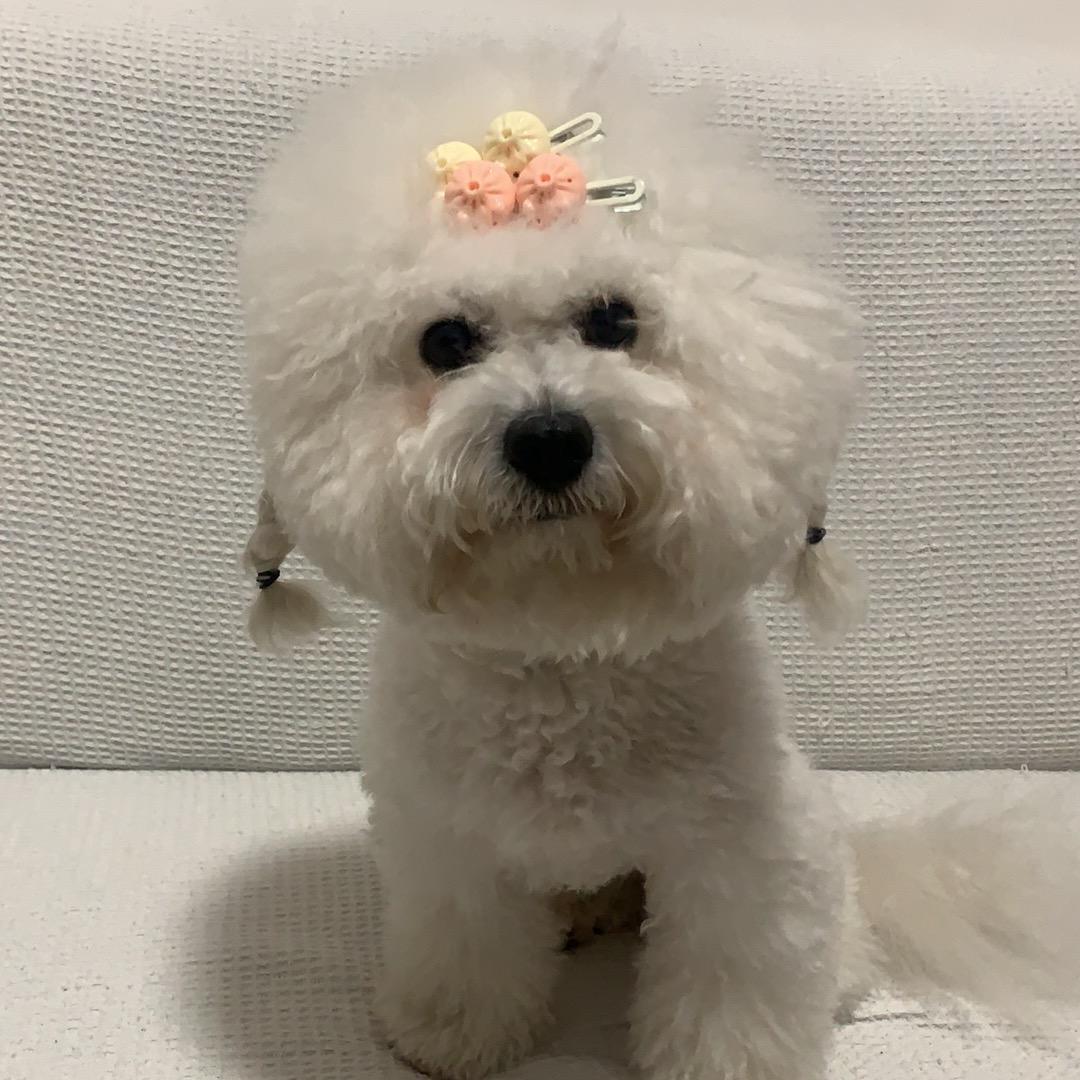 糖果