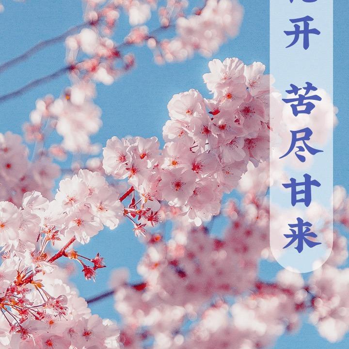 🍀梅姐🍀