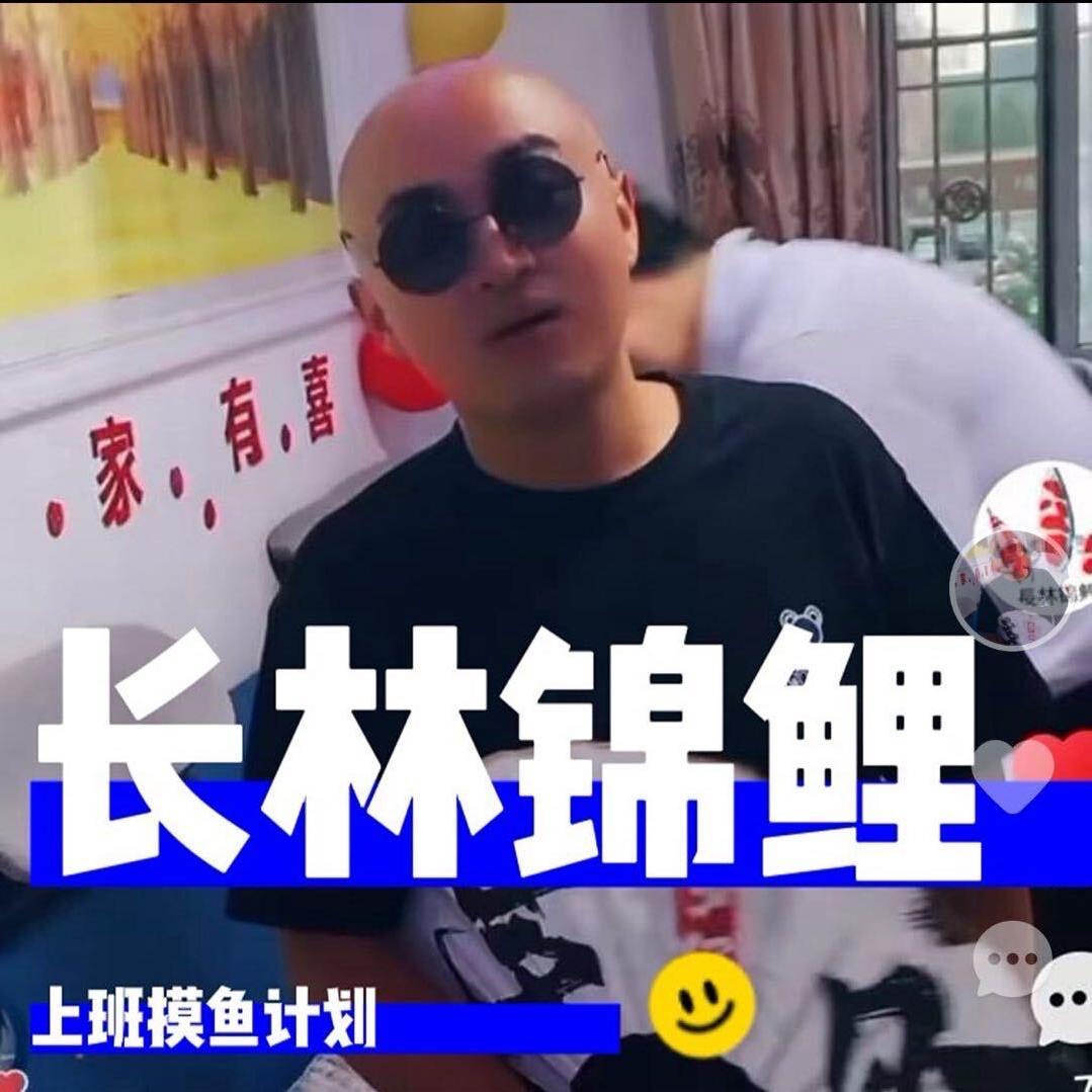 长林锦鲤