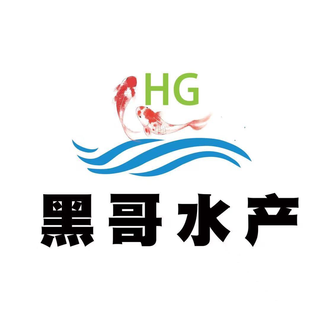 黑哥淡水鱼苗养殖基地