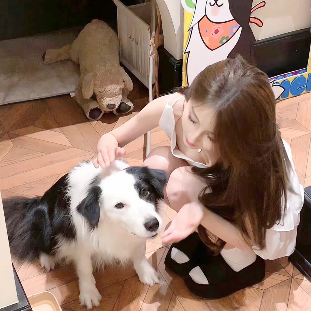 吨吨-
