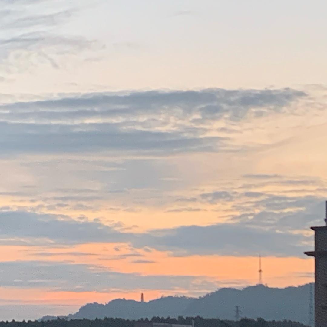 小Q（三角洲行动）