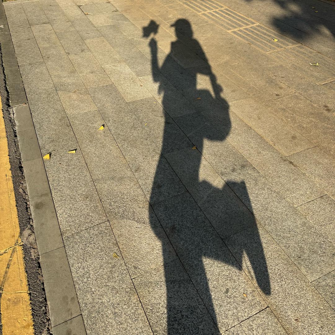 ༄༅风过叶落兮༻