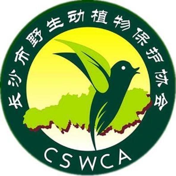 森林密语速成班