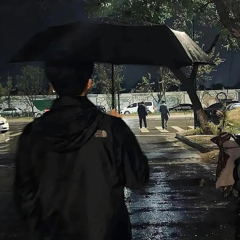 忽晚游林中