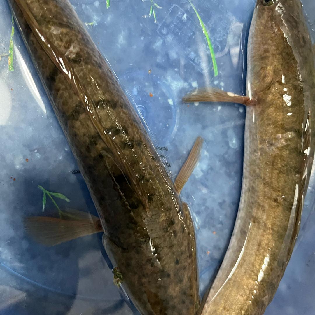 接着奏乐接着舞