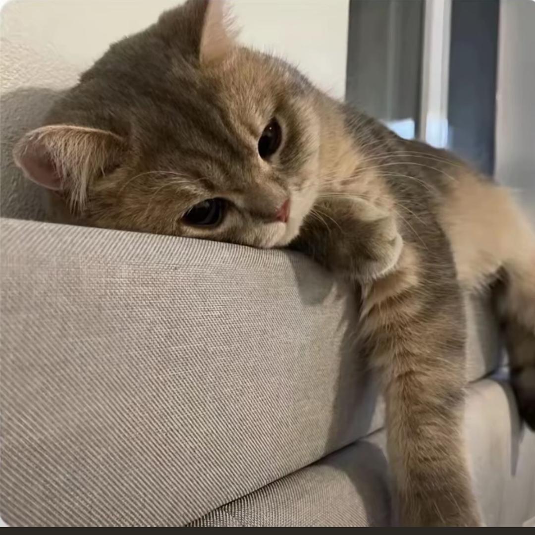：林夕