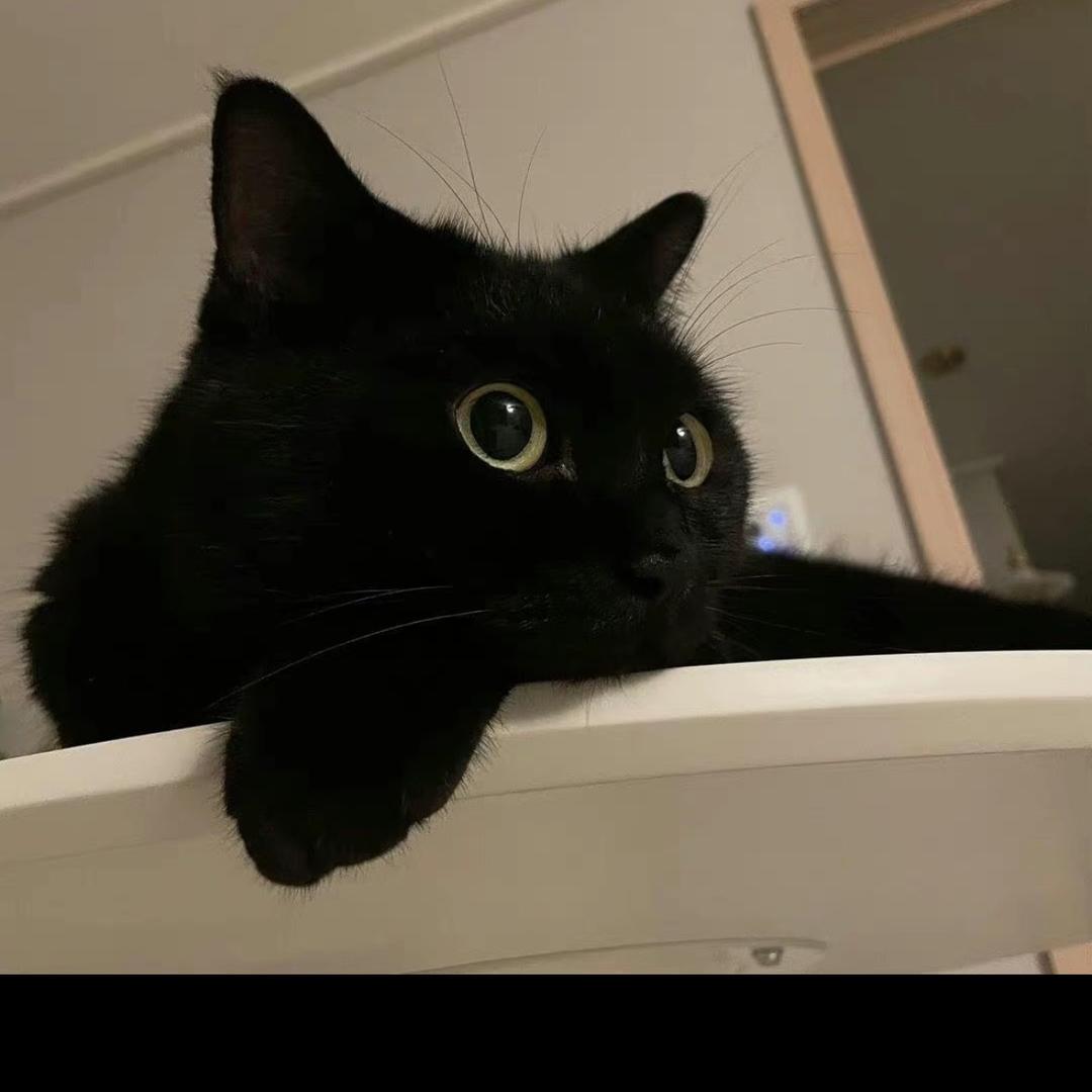 kio