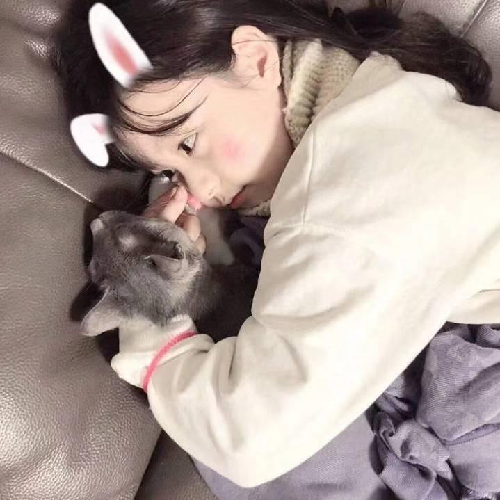 钞钞5