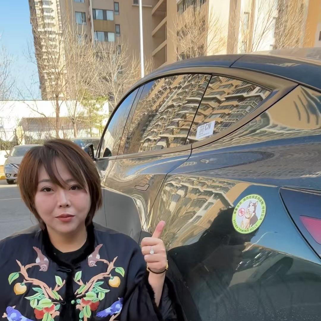 精灵阁宠物