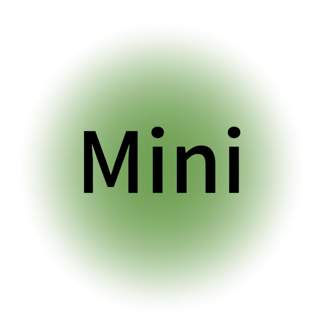 Mini甜甜女装店铺