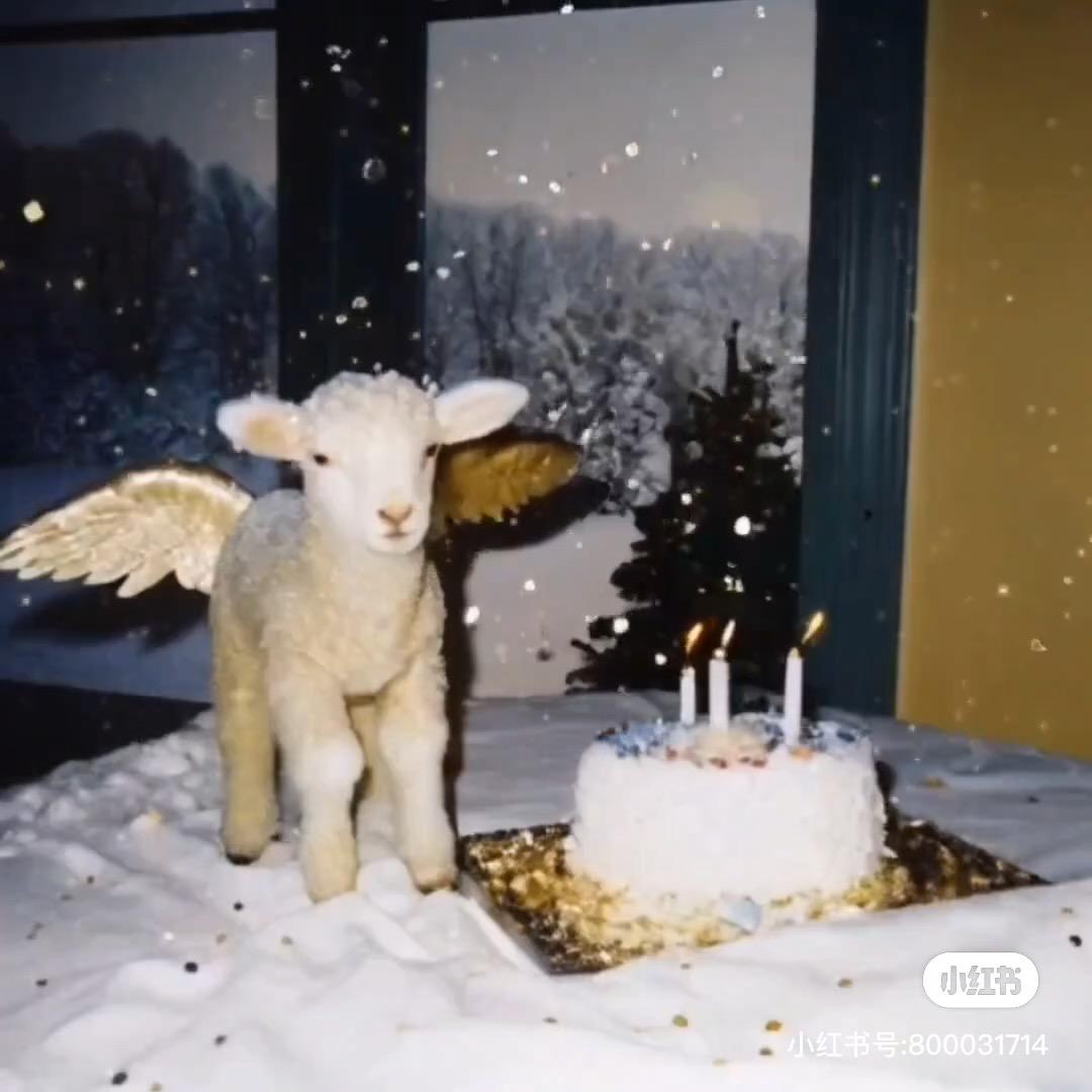 玩偶子🧸