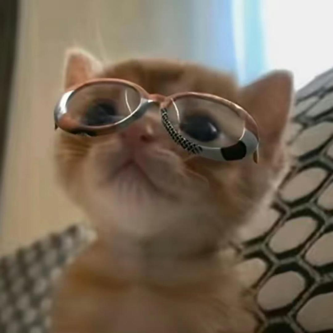 太好笑了