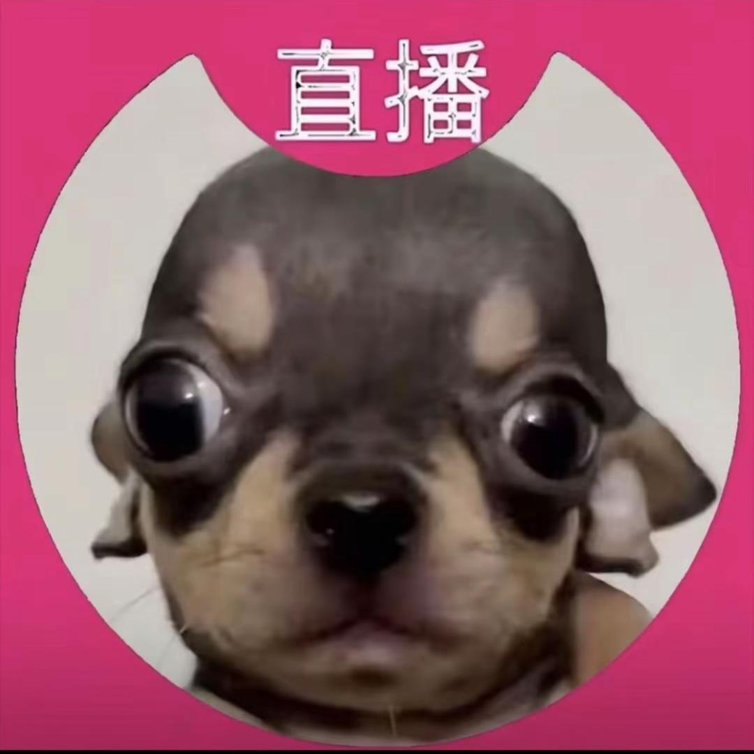 下半身的匹诺曹