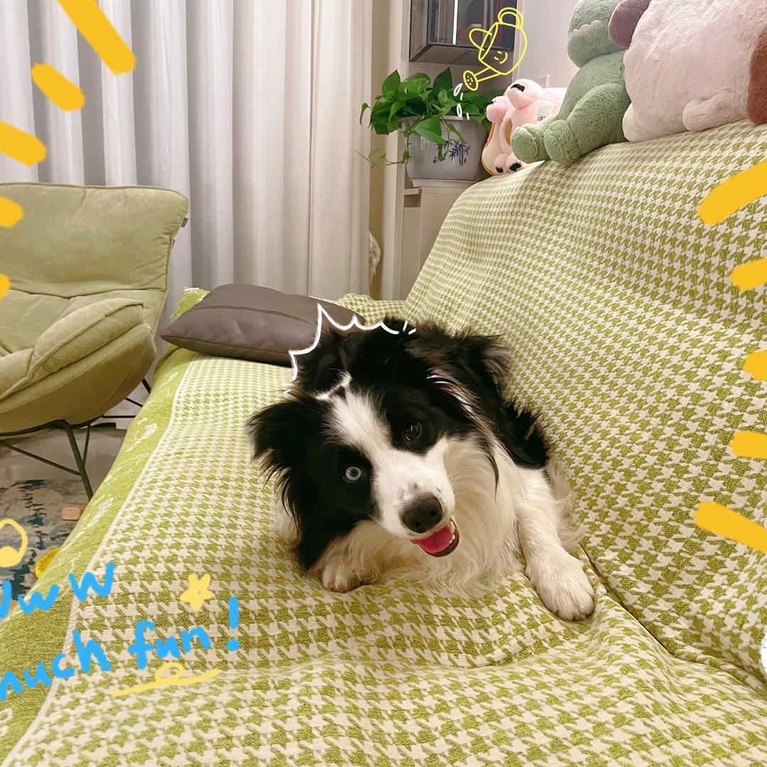 暴富暴富不上称🌿🌿