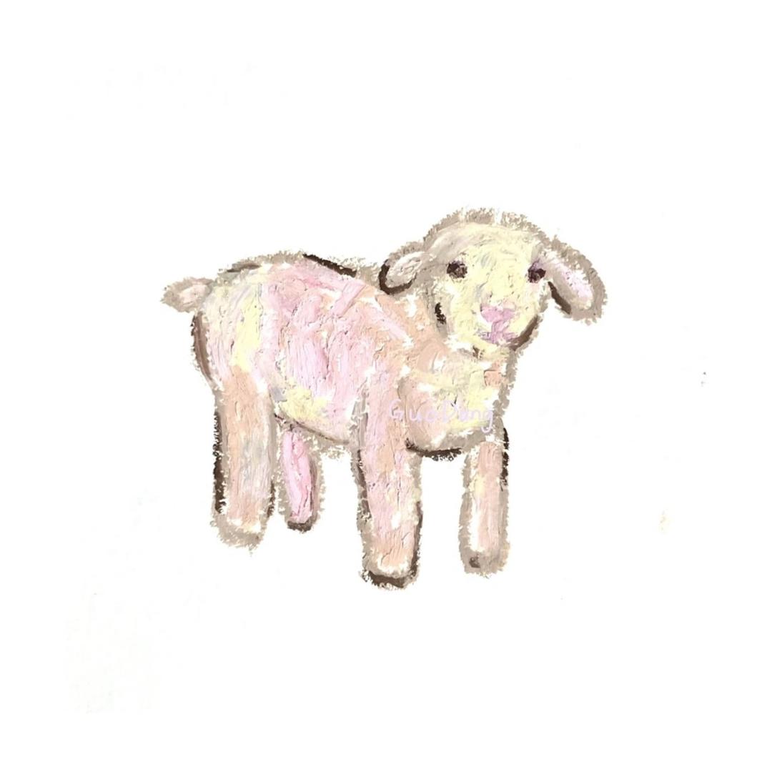 亚撒西是顺毛羊