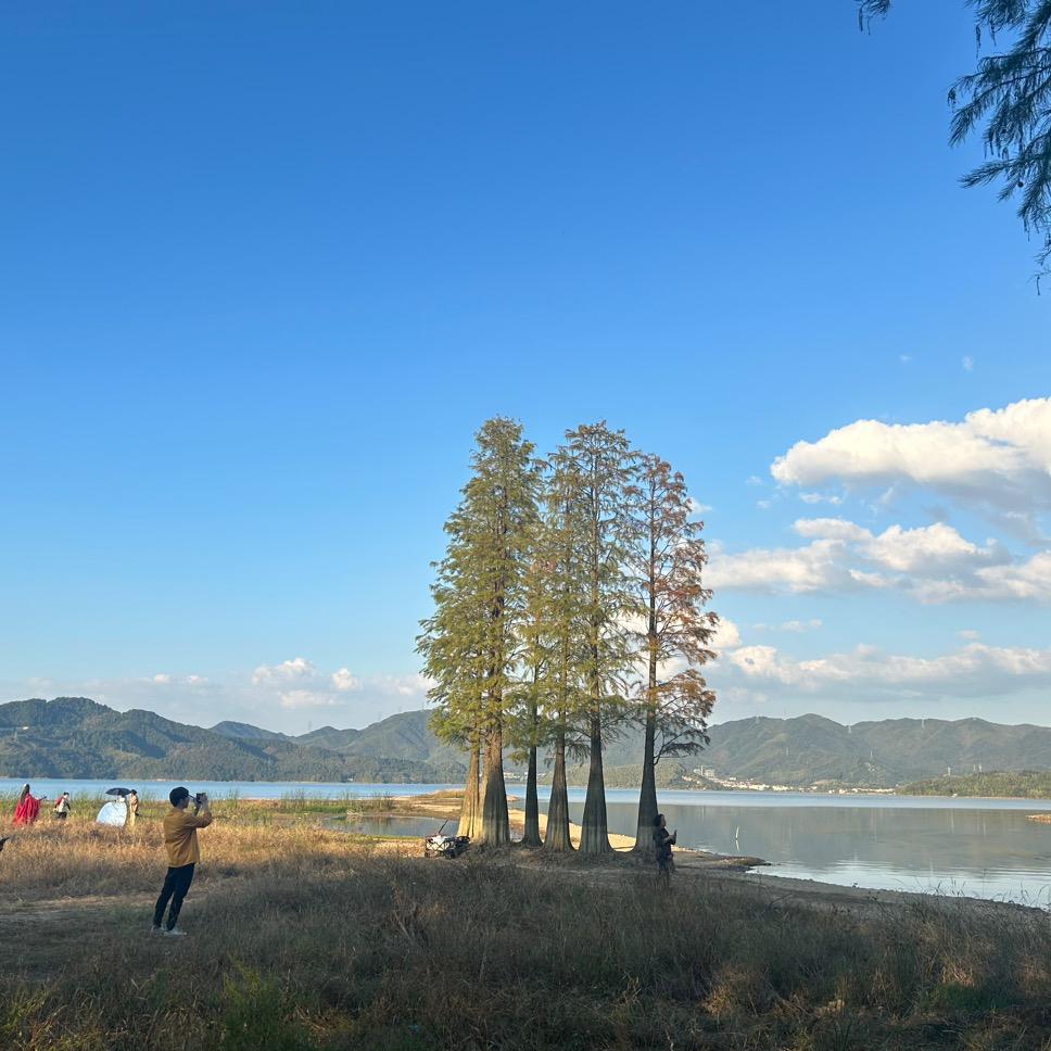 ~追忆似水流年)