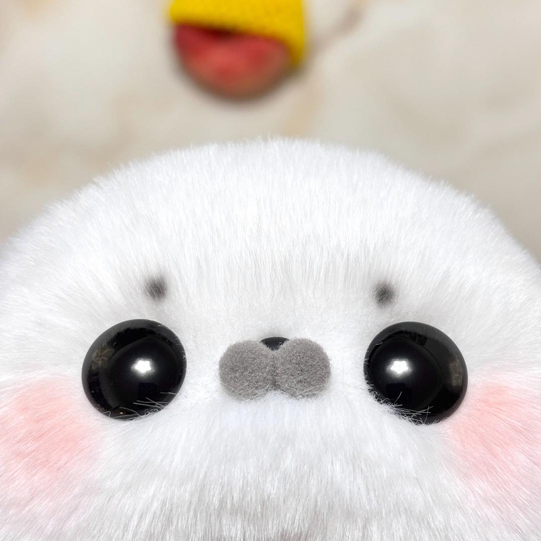 灵芝煲汤
