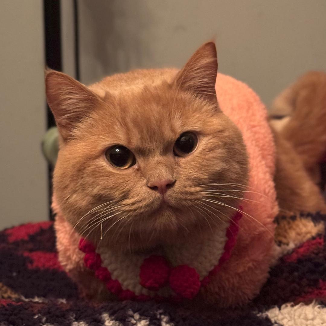 少爷和奎爷都不是爷