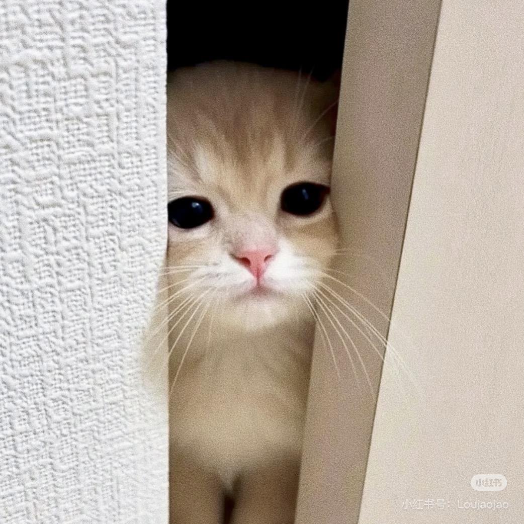 李狗熊