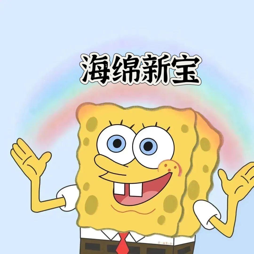 海绵新宝（陕西甜妹版）