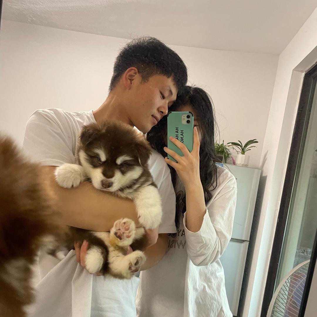 墩