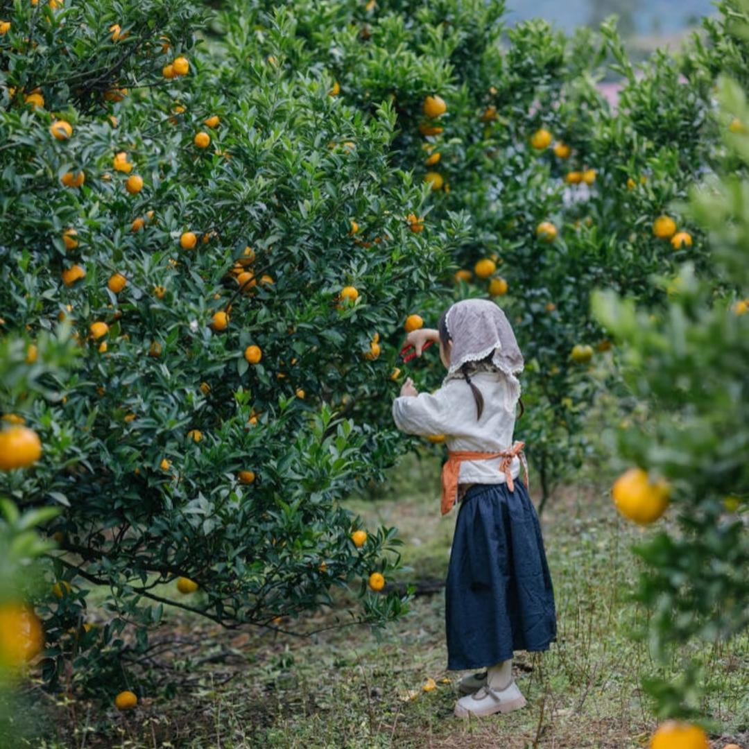 吃货先疯（助农版）