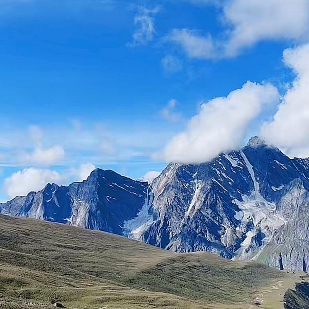 上山抓鼠