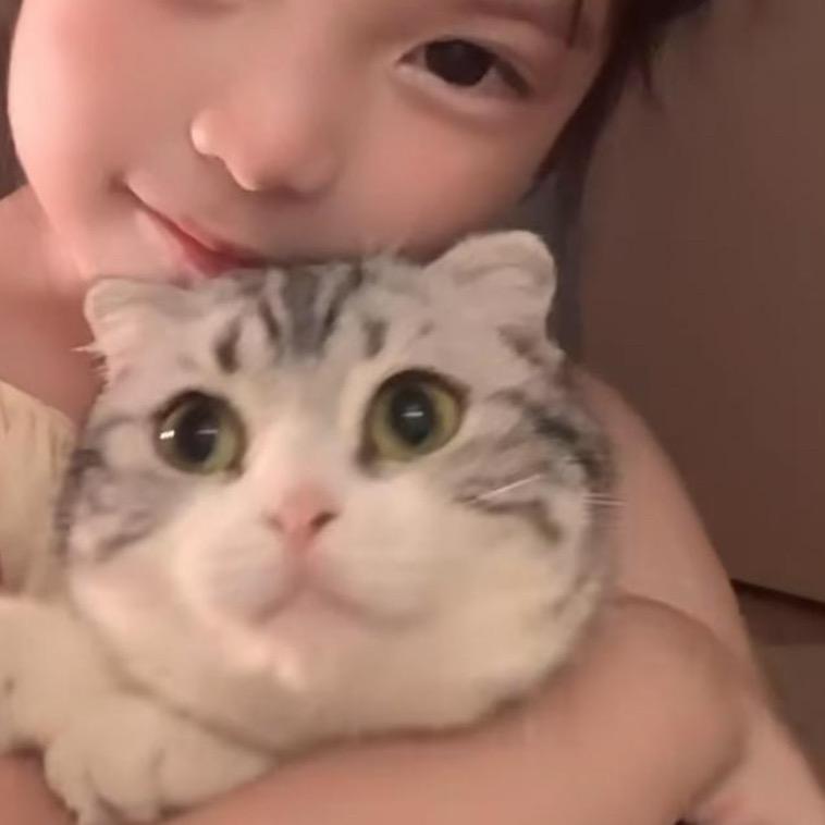 你可真好看