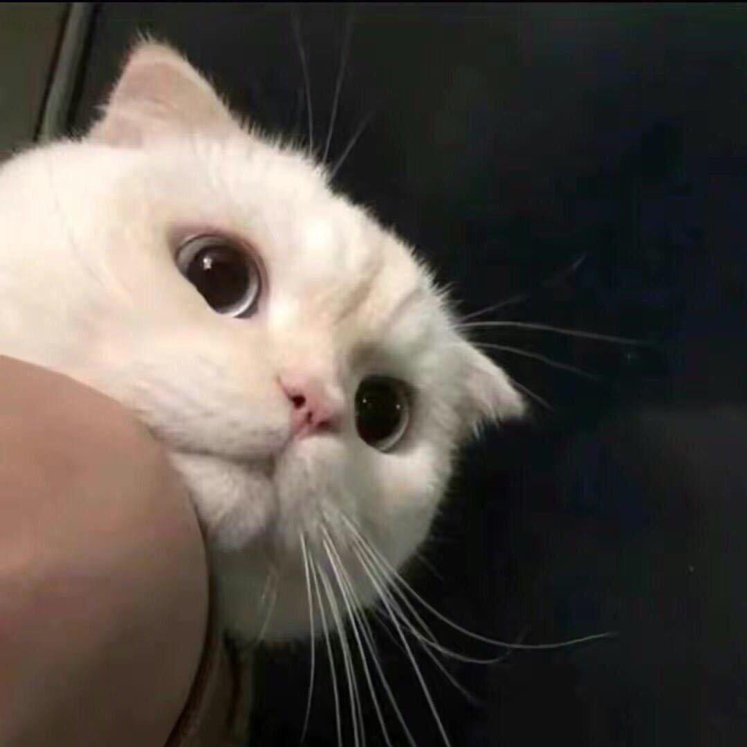 事态.