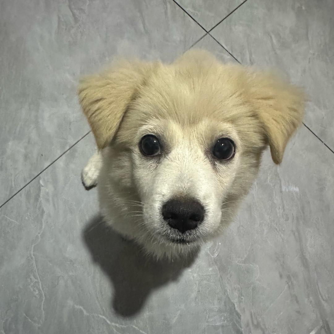🤸🏻