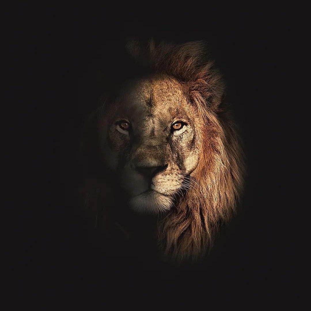 北京好房好宅易胜房地产经纪有限公司