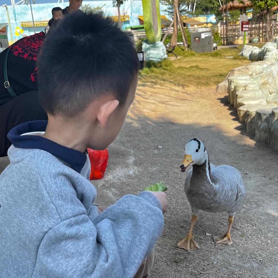 小熙吃喝玩乐