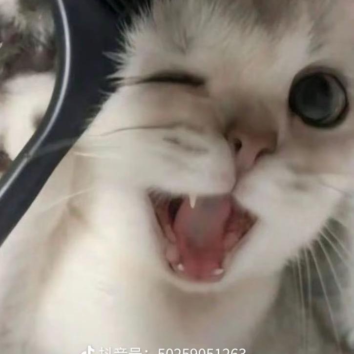 是凹凸曼呀❣️