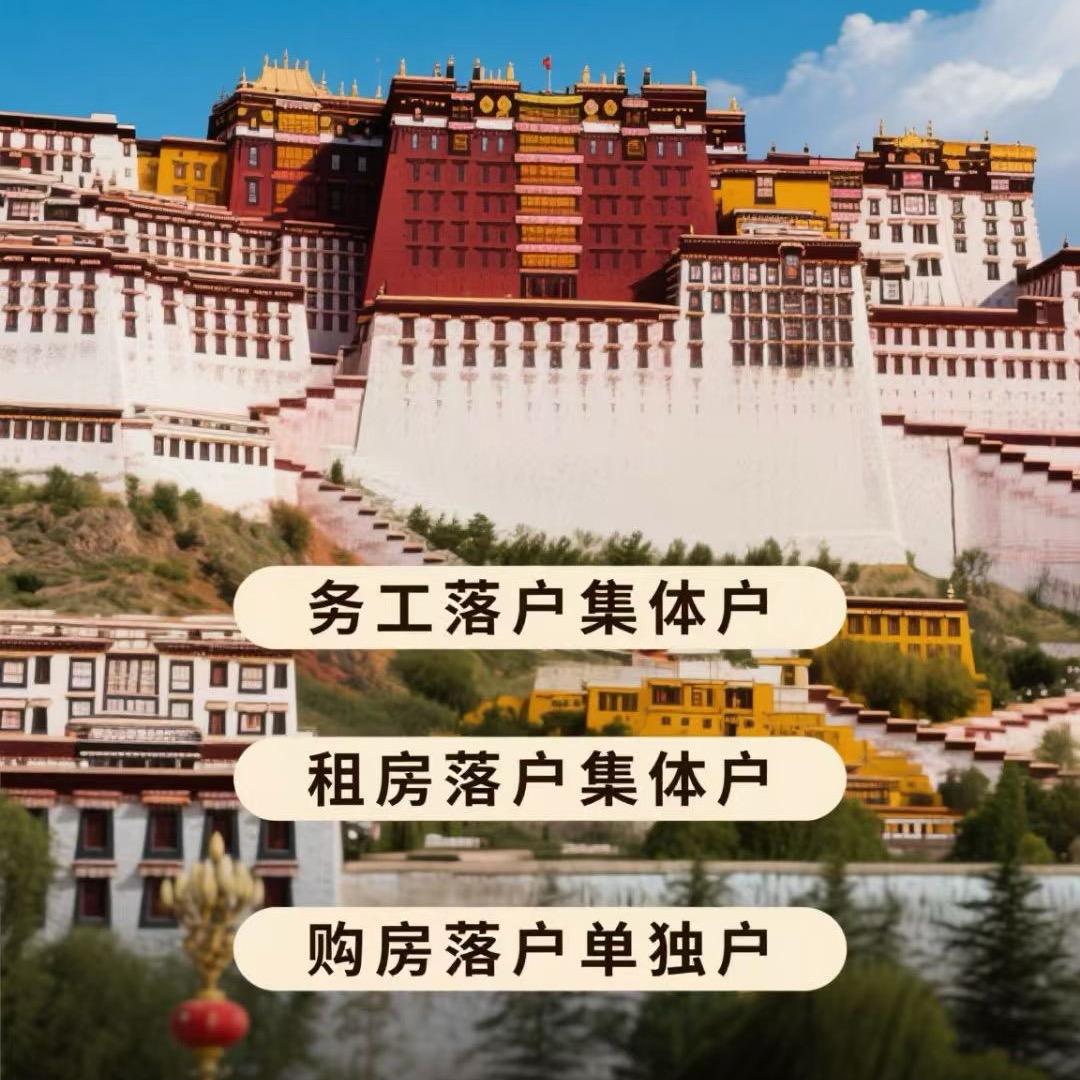 林芝市巴宜区旗胜置业有限公司
