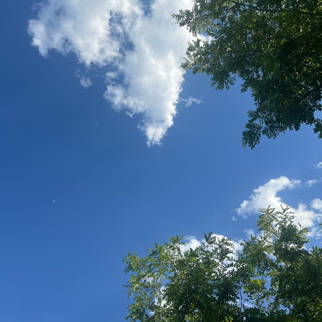 星燃