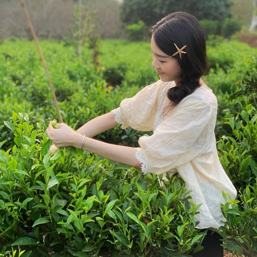 佳档单丛茶厂