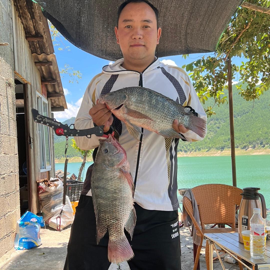 小伍户外