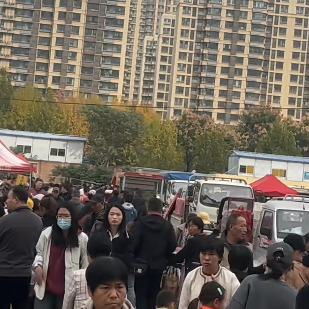 夜市招商晓晓