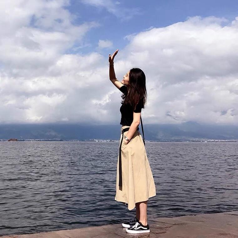 山东济宁强联法桐苗木之乡