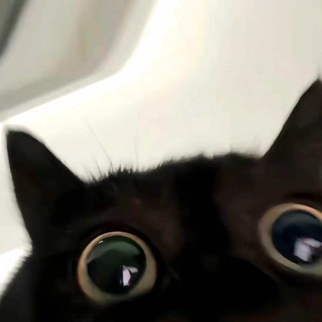 小钢蛋