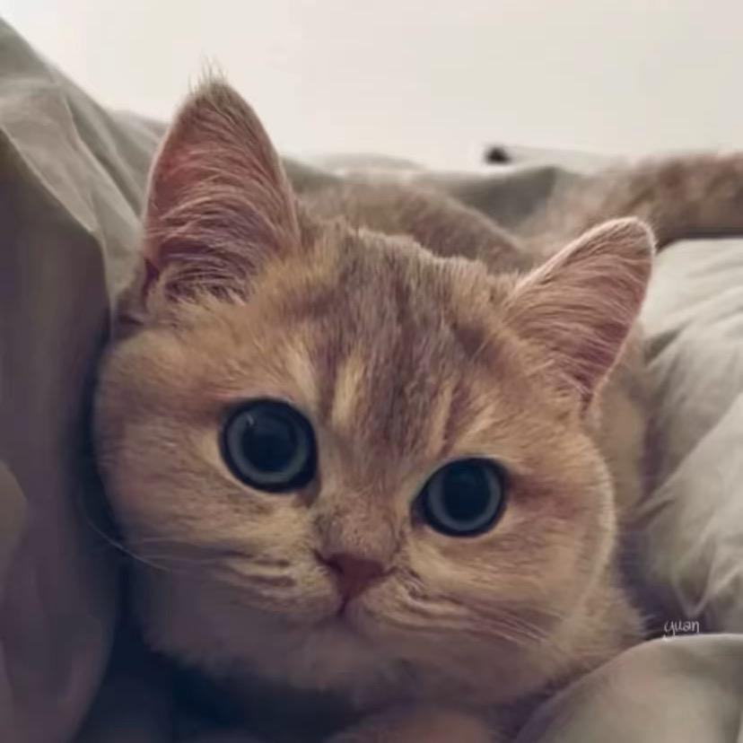 杰．